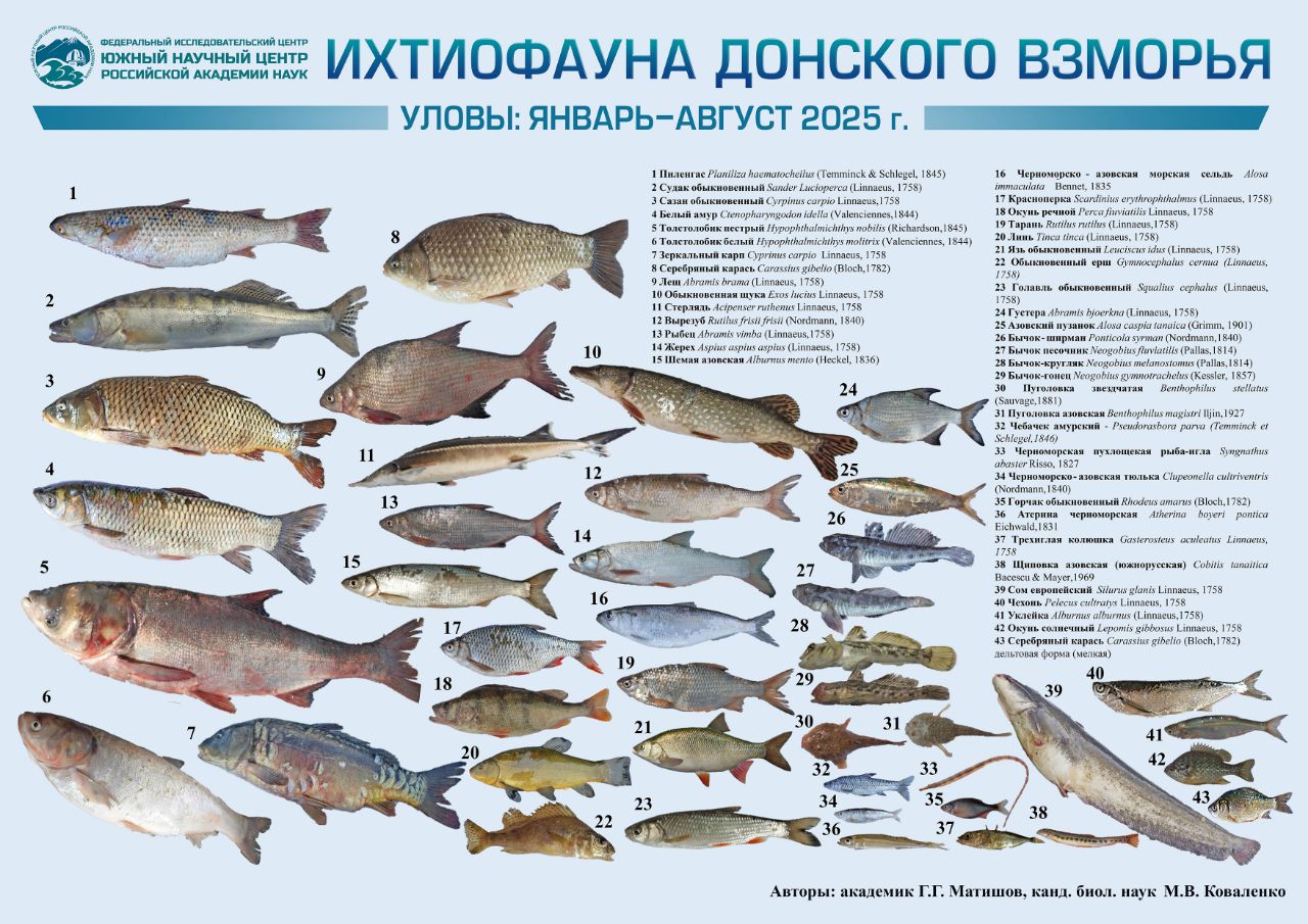 ЮНЦ РАН и ДГТУ готовят к изданию Руководство ЮНЦ РАН и ДГТУ готовят к изданию Руководство