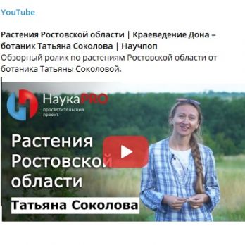 С.н.с. ЮНЦ РАН к.б.н. Татьяна Соколова рассказала о растениях Ростовской области просветительскому проекту 
