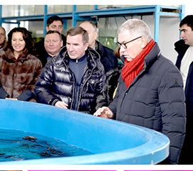 24 декабря 2016 г. состоялось открытие нового действующего комплекса рыбоводства и аквакультуры при инновационном академгородке ЮНЦ РАН. 24 декабря 2016 г. состоялось открытие нового действующего комплекса рыбоводства и аквакультуры при инновационном академгородке ЮНЦ РАН.