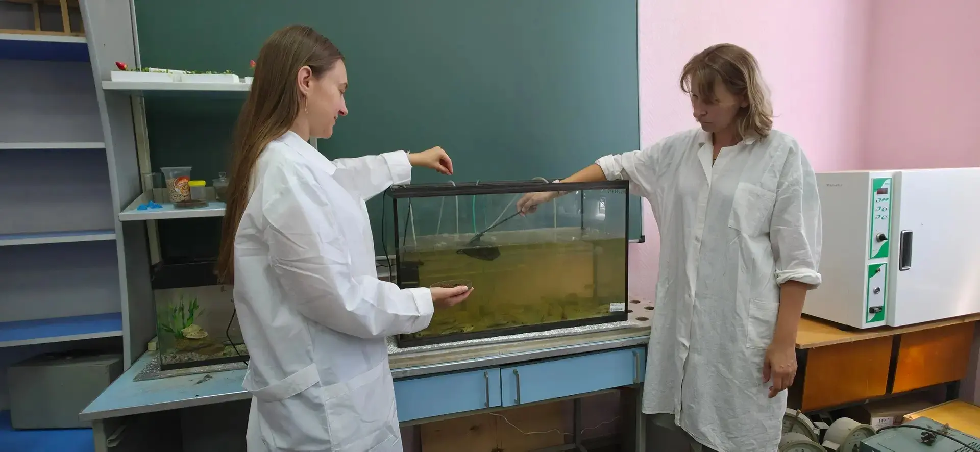 Учёные ЮНЦ РАН и АГТУ проанализировали российский рынок